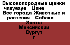 Высокопородные щенки чихуахуа › Цена ­ 25 000 - Все города Животные и растения » Собаки   . Ханты-Мансийский,Сургут г.